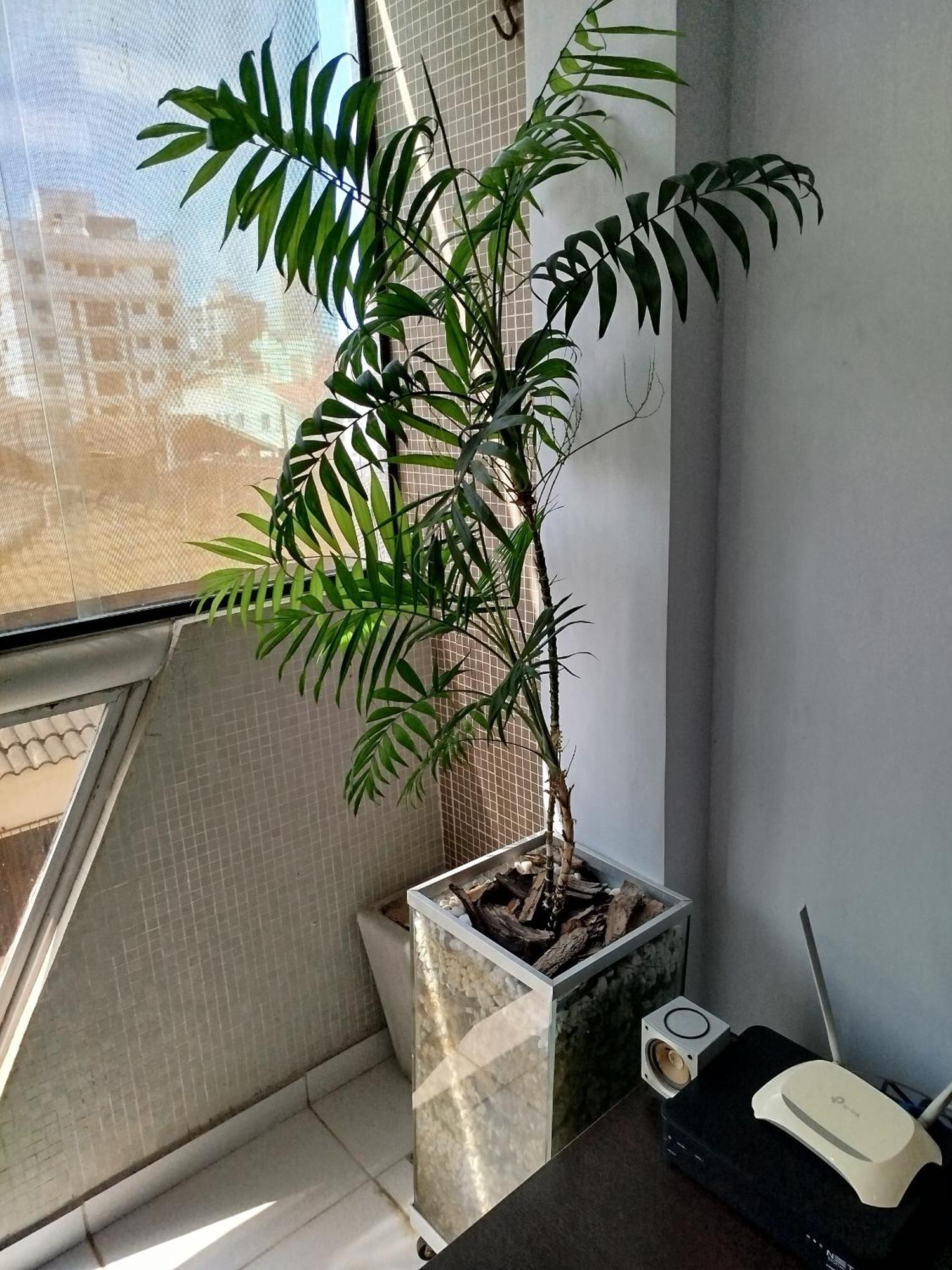 Apartamento Impecavel Na Enseada Γκουαρούχα Εξωτερικό φωτογραφία